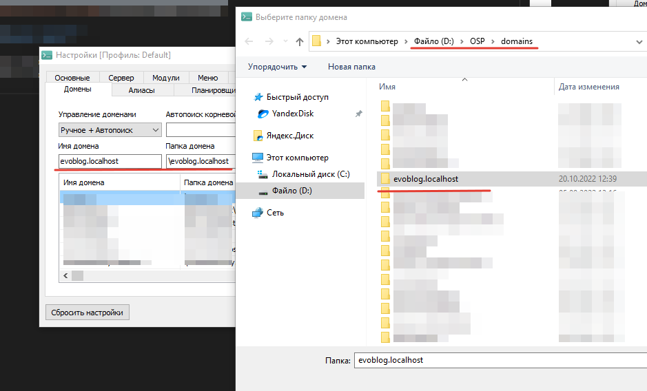 openserver add domain